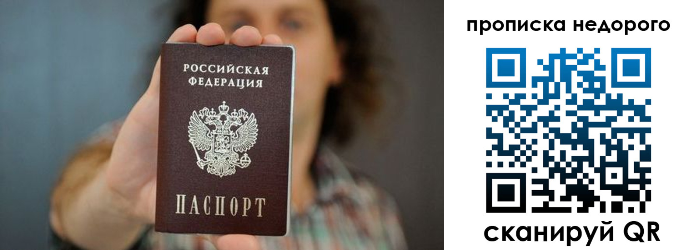 прописка гарантия в Королёве